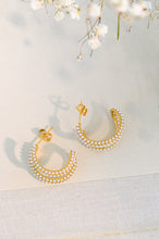 Load image into Gallery viewer, Golden Curve Earrings
